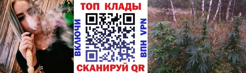 Где купить Ирбит APVP Кокаин ГАШИШ Меф гидра ссылки Бошки Шишки Галлюциногенные грибы