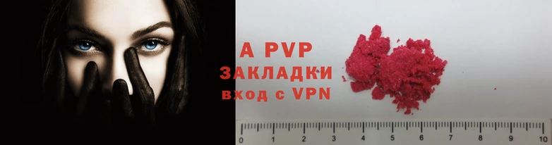 СК Вязьма