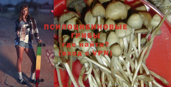 СК Вязьма