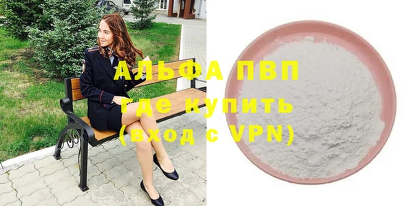 СК Вязьма