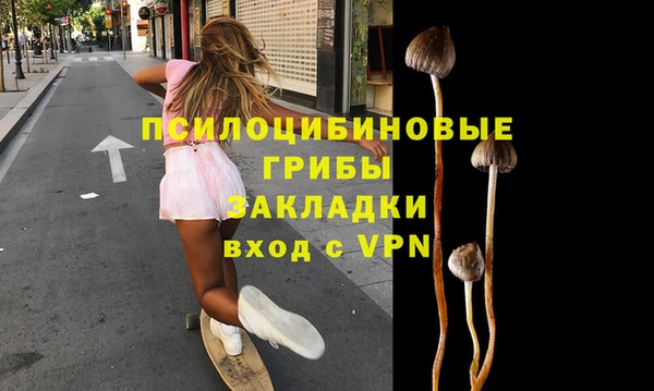 бошки Вяземский