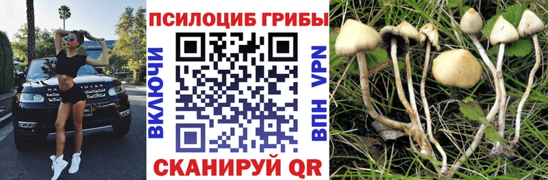 Псилоцибиновые грибы MAGIC MUSHROOMS  blacksprut   Ирбит 